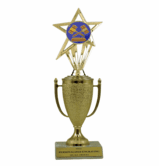 Achievement Cup & Insert Trophy - Debate