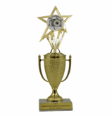 Photography Trophy - Cup & Insert