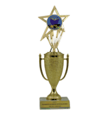 Achievement Cup & Insert Trophy - Reading