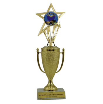 Achievement Cup & Insert Trophy - Reading - Click to enlarge