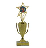 Achievement Cup & Insert Trophy - Science