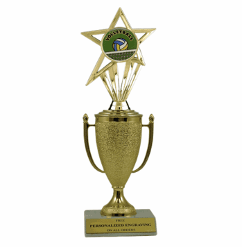 Volleyball Trophy - Cup & Insert - Click to enlarge