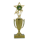 Achievement Cup & Insert Trophy - Vollyball