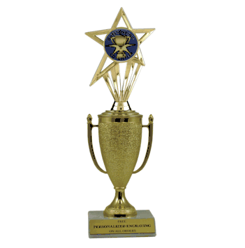 Achievement Cup & Insert Trophy - Volunteer - Click to enlarge