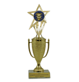 Achievement Cup & Insert Trophy - Volunteer