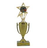 Achievement Cup & Insert Trophy - Wrestling