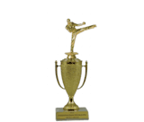 Achievement Cup Trophy