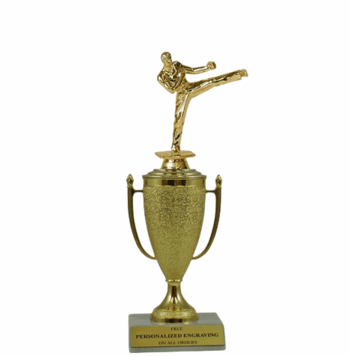 Achievement Cup Trophy - Click to enlarge