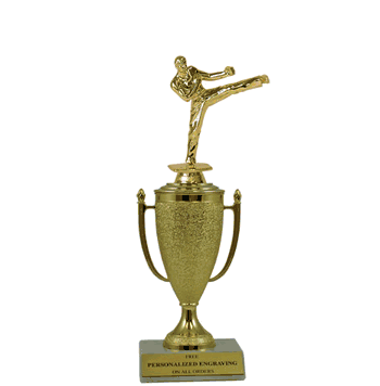 Achievement Cup Trophy - Karate - Click to enlarge