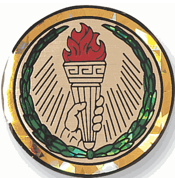 Achievement Mylar Decal Medal Insert - Click to enlarge