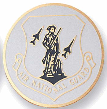 Air National Guard Medal Insert (Etched) - Click to enlarge