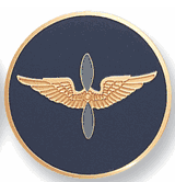 Army Aviation Medal Insert (Etched)