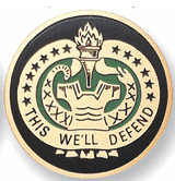 Army Drill Sergeant Medal Insert (Etched)