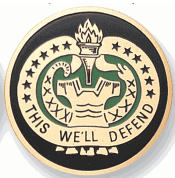 Army Drill Sergeant Medal Insert (Etched) - Click to enlarge