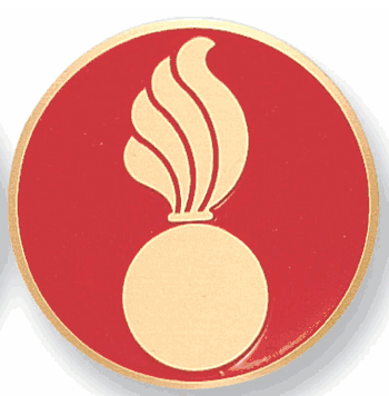 Army Ordnance Corps Medal Insert (Etched, 515049) - Click to enlarge