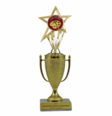 Art Cup Trophy with Insert