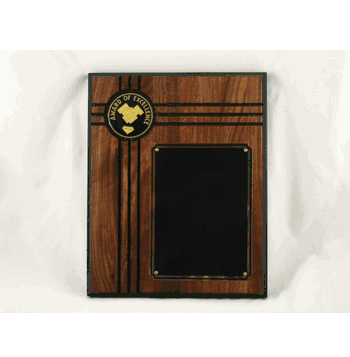 Award Of Excellence Plaque - Click to enlarge