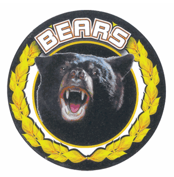 Bears Mascot Medal Insert - Click to enlarge