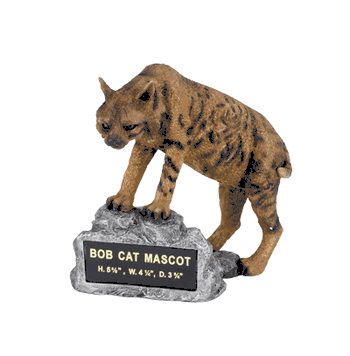 Bobcat Trophy - Click to enlarge