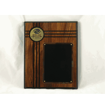 Boys & Girls Clubs Of America Plaque - Click to enlarge