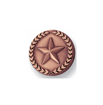 Bronze Star With Wreath - 7/8 Inch (BR Series) - Click to enlarge