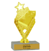 Budget Cornhole Award Trophy