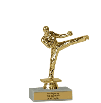 Budget Karate Award Trophy - Click to enlarge