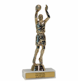 Budget Series Basketball Award