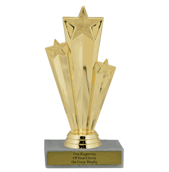 Budget Star Performer Award Trophy - Click to enlarge