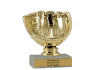 Budget Trophy In Multiple Subjects