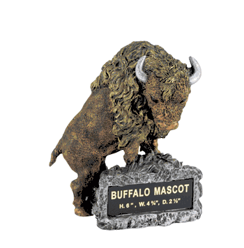 Buffalo Trophy - Click to enlarge