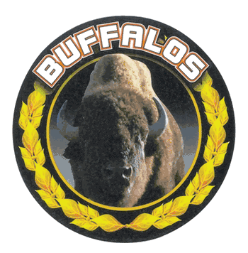 Buffalos Medal Mascot Medal Insert - Click to enlarge