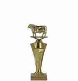 Bull Star Column Trophy