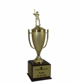 Champion's Cup Baseball Trophy