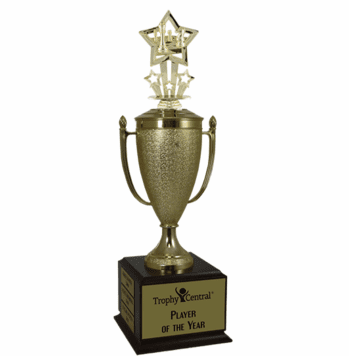 Champion's Cup Chess Trophy - Click to enlarge