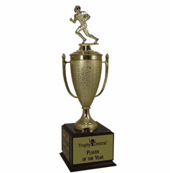 Champion's Cup - Football - Click to enlarge