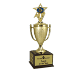 Champion's Cup Insert Trophy Award