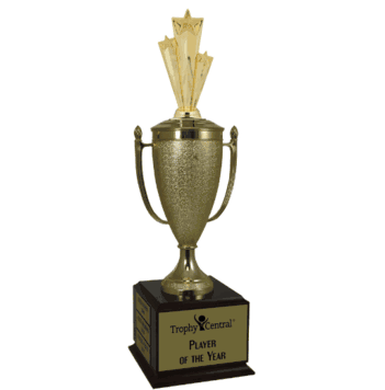 Champion's Cup - Star - Click to enlarge