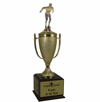 Champion's Cup - Swimming - Click to enlarge