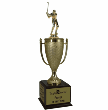 Champion's Cup Trophy Award - Click to enlarge