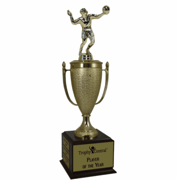 Champion's Cup - Volleyball - Click to enlarge