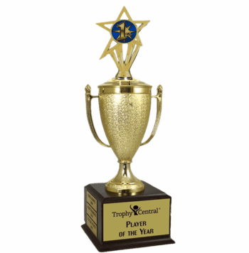 Champion's Trophy with 1st Place Insert - Click to enlarge