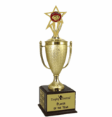 Champion's Trophy with Art Insert