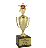 Champion's Trophy with Art Insert