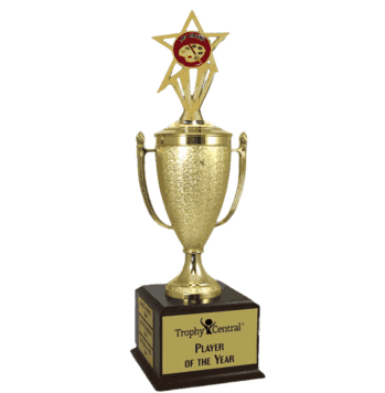 Champion's Trophy with Art Insert - Click to enlarge