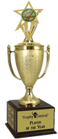 Champion's Trophy with Baking Insert