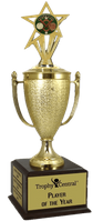 Champion's Trophy with Baseball Insert