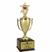 Champion's Beer Pong Trophy with Insert