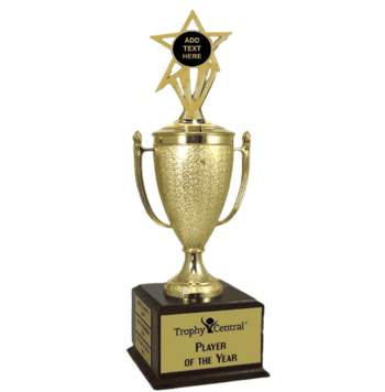 Champion's Trophy with Blank Engravable Insert - Click to enlarge