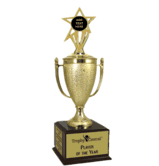 Champion's Trophy with Blank Engravable Insert